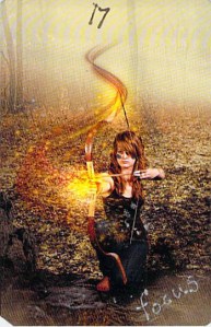 Focus--House of Night cards