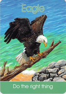 eagle -- Children's Spirit Animal Cards