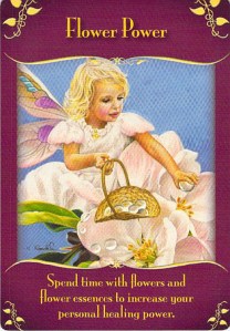 flower power -- Magical Messages from the Fairies
