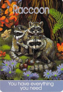 Raccoon -- Children's Spirit Animal Cards