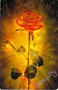 Beauty -- Wisdom of the House of Night