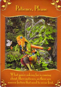 Patience, Please -- Magical Messages from the Fairies