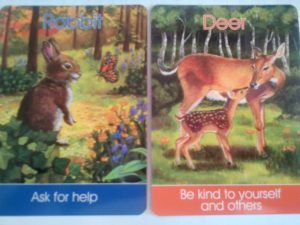 Rabbit, Deer