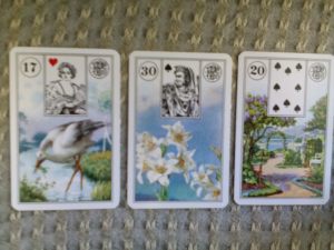 The Lenormand cards I pulled for Before You Know Kindness: 1) who will get shot? 2) who will accidentally commit the shooting? 3) what will the outcome be for the family?