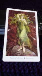 Seven of Arrows, Wildwood Tarot