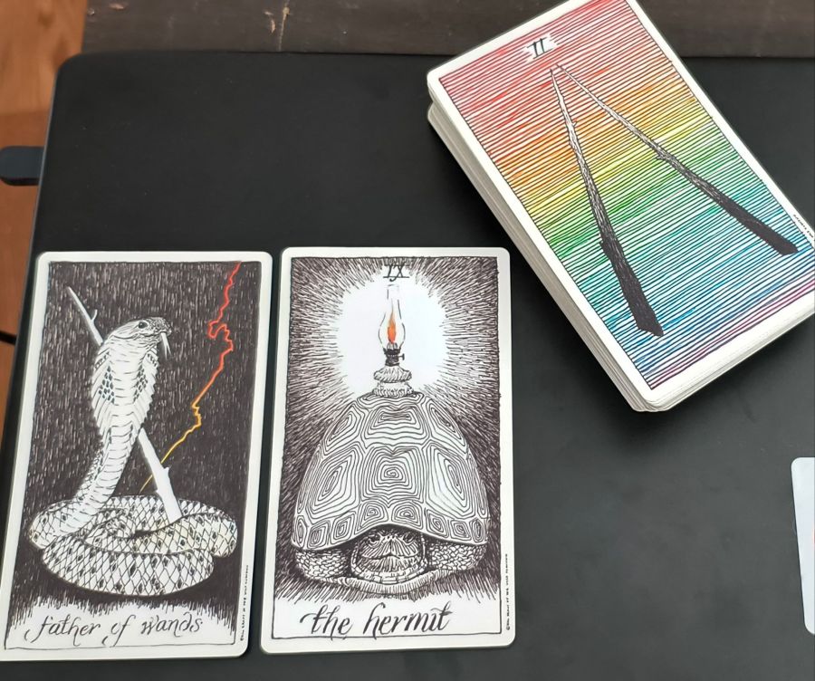Two cards from the Wild Unknown Tarot: The King of Wands, a cobra snake holding a stick in the dark, as lightning flashes nearby, and the Hermit, shown as a tortoise drawn into its shell, in a dark location, with a lit lamp on its back. Next to these is the whole deck turned to show the Two of Wands at the bottom of the deck, two sticks on a rainbow-colored background.