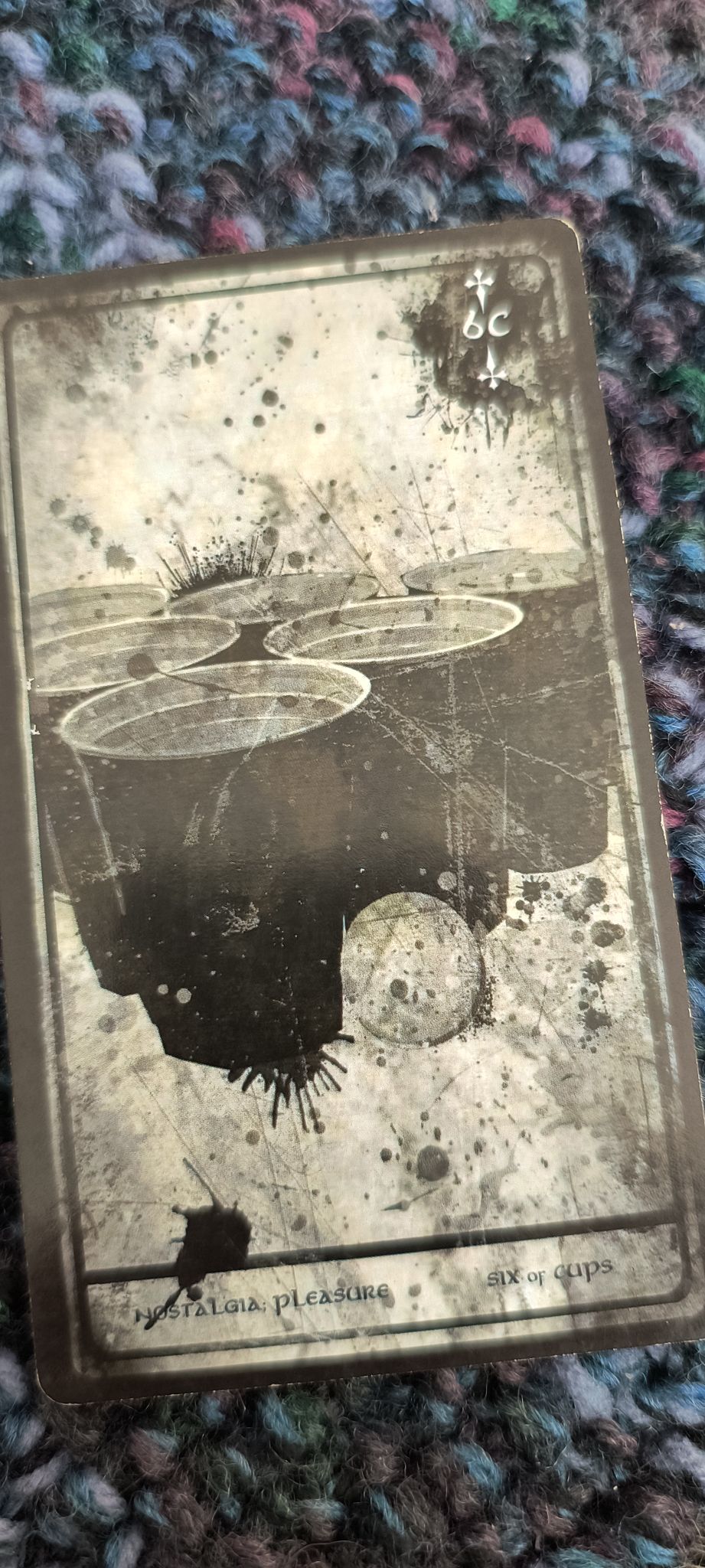 Six cups full of liquid.