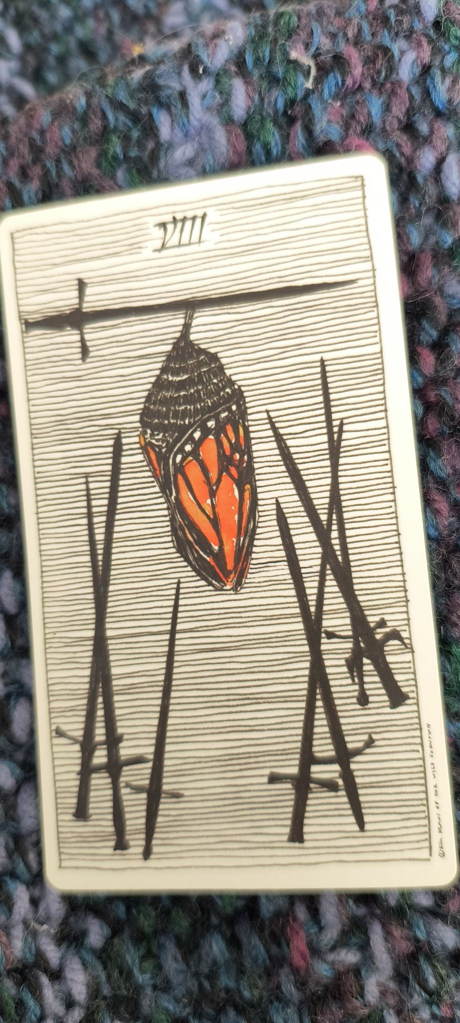 A butterfly in a chrysalis hangs from a sword's edge. Seven other swords are also below.